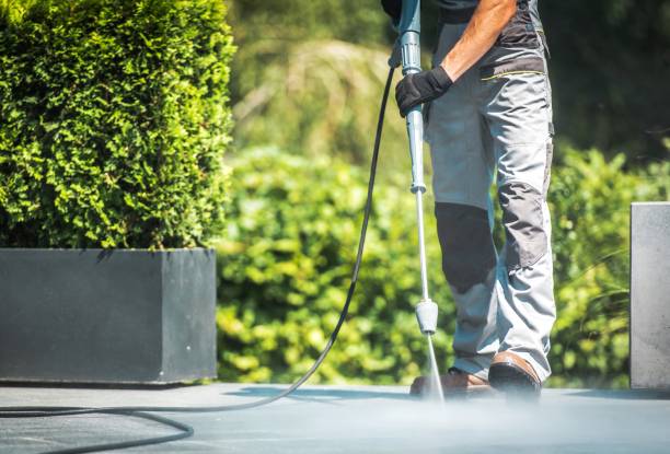 Best Sidewalk and Walkway Cleaning  in Mammoth Lakes, CA